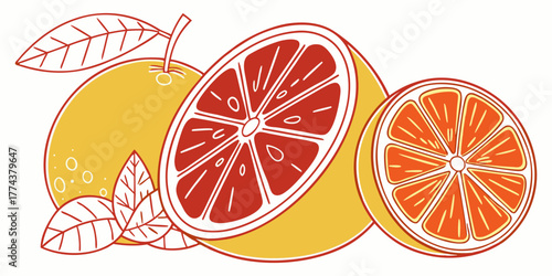 Juicy Orange Vector Set – Citrus Fruit Icons"