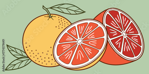 Juicy Orange Vector Set – Citrus Fruit Icons"