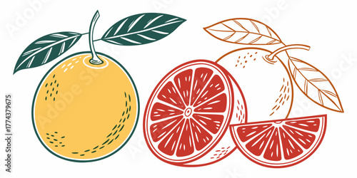 Juicy Orange Vector Set – Citrus Fruit Icons"