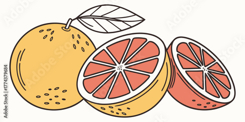 Juicy Orange Vector Set – Citrus Fruit Icons"