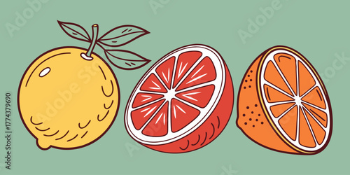 Juicy Orange Vector Set – Citrus Fruit Icons"