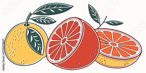 Juicy Orange Vector Set – Citrus Fruit Icons"