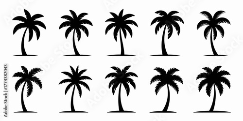 Tropical vibes with silhouette palm trees for summer designs, holiday promotions and exotic travel themes bring beachy feelings and relaxing vacations