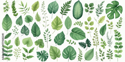 Lush botanical beauty featuring verdant leaves, perfect for adding a touch of nature to your designs and evoking a sense of freshness and natural elegance