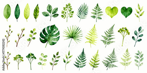 Botanical bliss awaits with watercolor leaves and plants for a whimsical touch perfect for invitations, branding, and scrapbooking projects