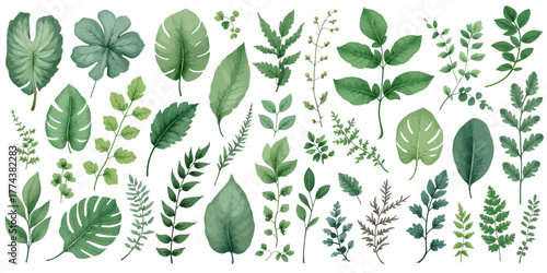 Botanical Bliss: Lush Watercolor Foliage Collection for Elegant Invitations and Nature-Inspired Designs, Perfect for Branding and Creative Projects