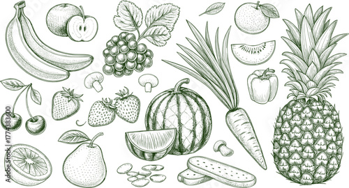 Hand drawn fruits and vegetables vector collection. Organic food sketch with tropical fruits, healthy lifestyle and natural produce.