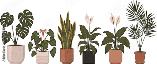 Assortment of potted houseplants with dark green leaves in various planters Description: A collection of six different houseplants in decorative