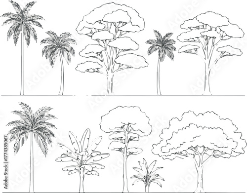 Need Minimal style cad tree line drawing, Side view, set of graphics trees elements outline symbol for architecture and landscape design drawing. Vector illustration in stroke. Tropical