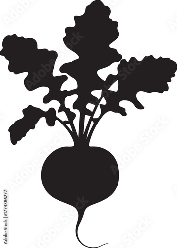 black silhouette of radish on white background, vector