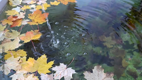 Herbstwasser