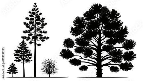 Collection of silhouette pine trees and evergreen plants