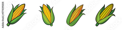 Four ears of ripe yellow corn with green husks, isolated on a