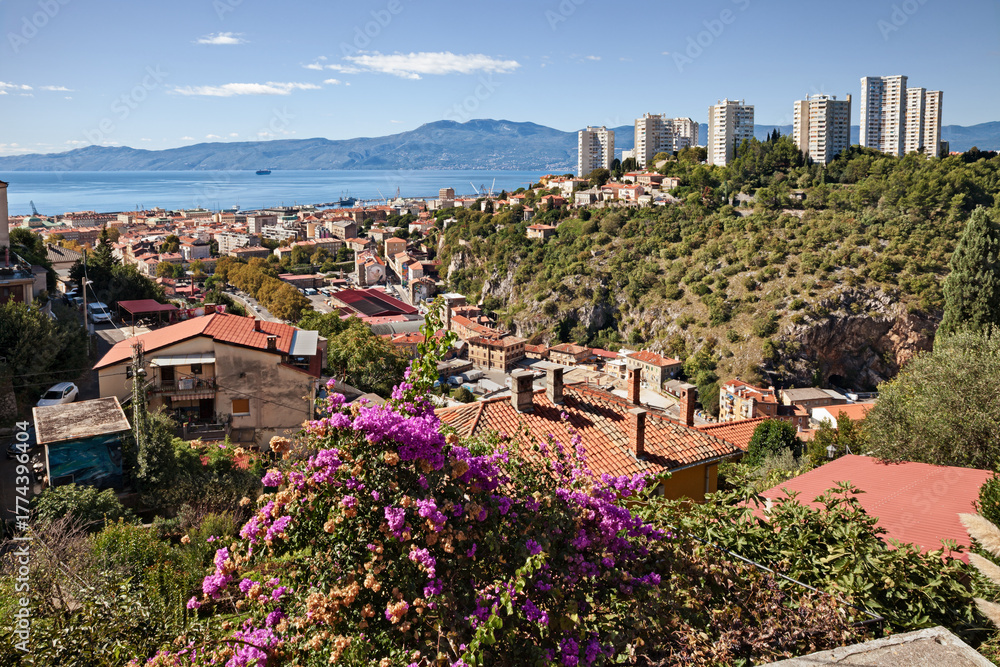 Obraz premium Rijeka, Croatia: A panoramic view of the city on the Adriatic Sea coast, featuring residential buildings, modern high-rises on the hill, and vibrant fuchsia bougainvillea in the foreground
