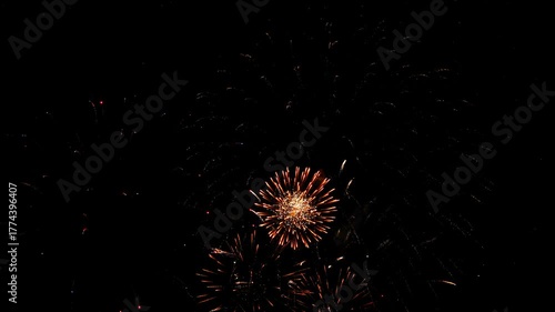 Vibrant firework explosions illuminating night sky in stunning display