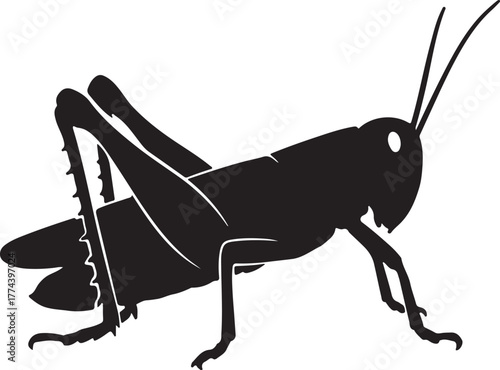 Silhouette grasshopper transparent