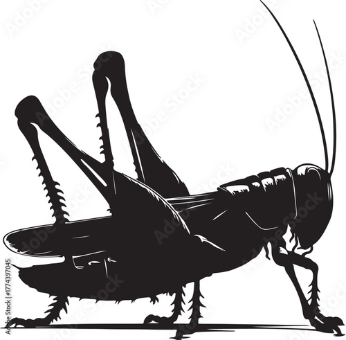 Silhouette grasshopper transparent