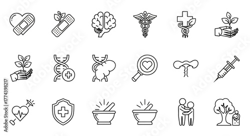 Medical and Healthcare Outline Icons Set Heart Brain DNA Syringe and More.