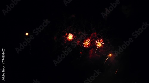 Vibrant firework display illuminating the night sky with dynamic bursts