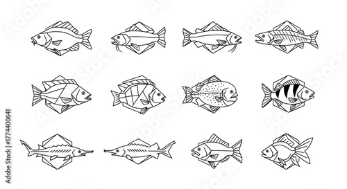 Twelve stylized fish illustrations in a geometric, line-art style arranged in a grid pattern on a white background.