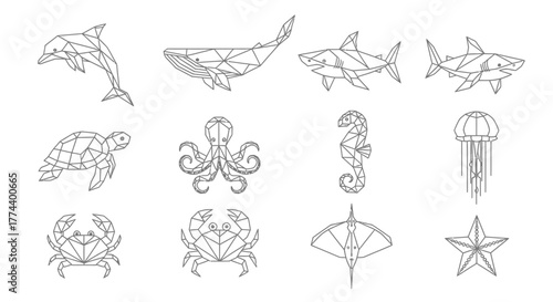 Geometric line art featuring various marine animals including a dolphin, whale, shark, turtle, and other sea creatures.
