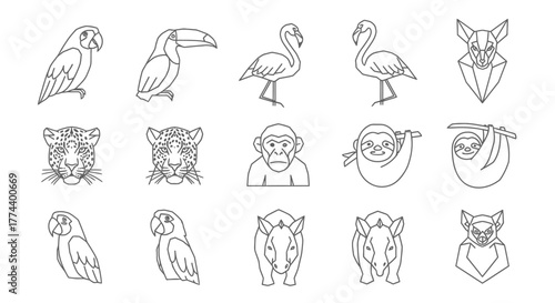 Outlined illustrations of various animals including birds, mammals, and primates.