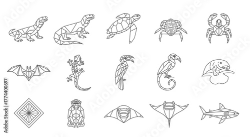Geometric line art portraits of various wild animals, front-facing.