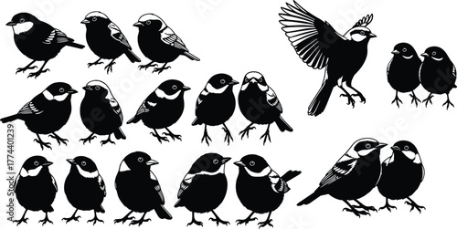 A collection of black and white illustrations of various small birds, some in flight and others perched