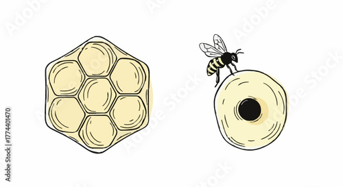Honeybee and Honeycomb Illustration Apiculture, Nature's Sweetness