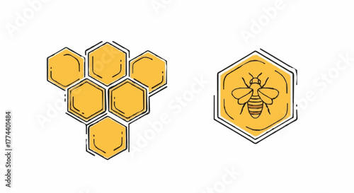 Hand-drawn vector icons of a sweet honey bee in a hexagon and golden honeycomb cells. Rustic illustrations for organic products, nature themes, and beekeeping designs