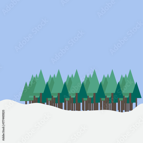 전나무숲 나무 숲 배경 바탕