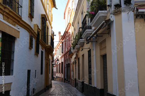 Historic alley in the old town of Macarena, Seville, Andalusia, Spain  