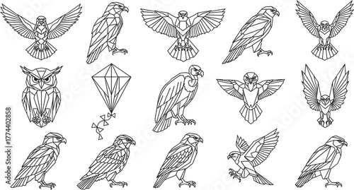 Collection of stylized line art illustrations depicting various birds of prey.