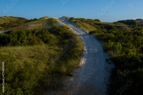 A 4-wheel-drive track through the sand dunes, up over the grassy hill.