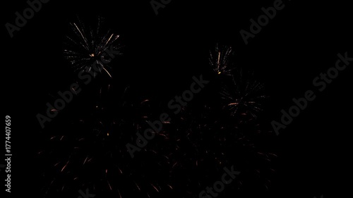 Spectacular fireworks display lighting up the night sky with vibrant colors and dynamic explosions