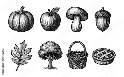 Hand-drawn autumn harvest elements: pumpkin, apple, mushroom, and more