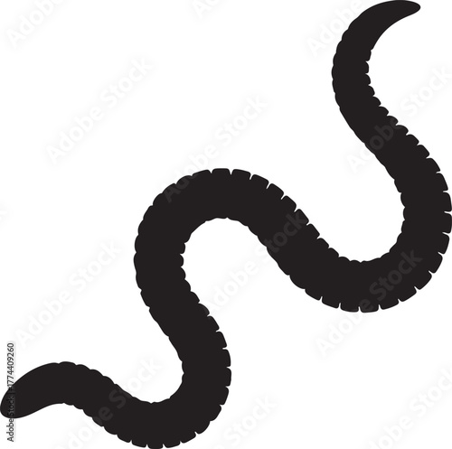 Silhouette worm transparent