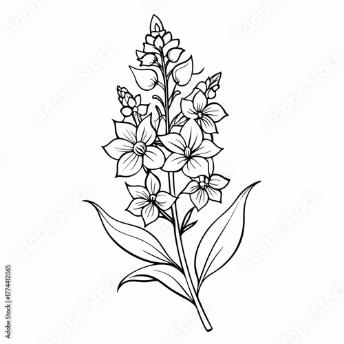 black and white flower