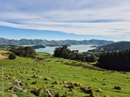 Panoramic View of Orton Bradley Park and Lyttelton Harbour, New Zealand