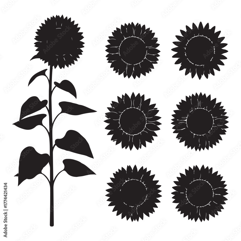 Fototapeta premium Collection of sunflower silhouettes isolated on white background for decoration