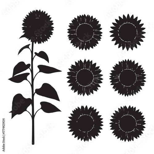 Collection of sunflower silhouettes isolated on white background for decoration