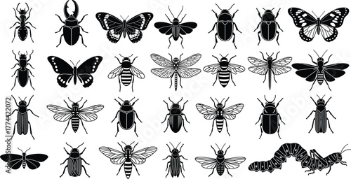 Insect silhouette vector set, black editable graphic, bug and arthropod icons, entomology themed design, flying crawling insect illustration collection