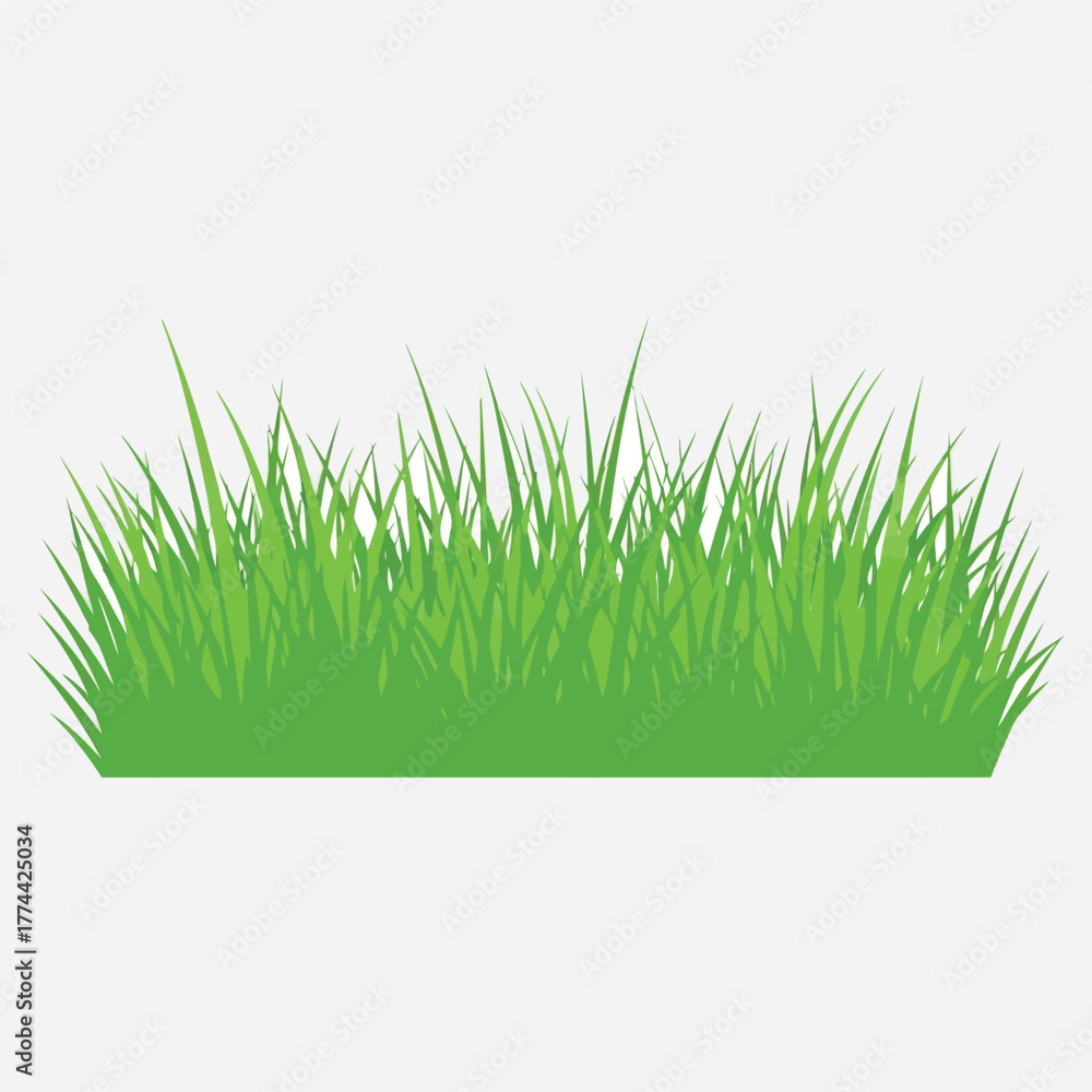 Obraz premium Fresh Green Grass Patch - Detailed Illustration of Natural Meadow Turf Clump Isolated on White Background