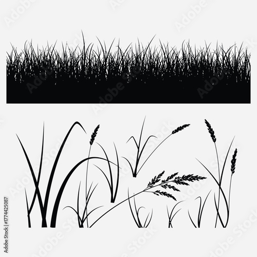 Versatile collection of natural grass and plant silhouettes, ideal for design projects requiring organic border elements or botanical decorative illustrations
