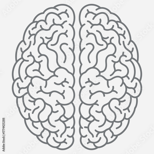 Abstract human brain outline illustration showcasing mental processes, intelligence, and cognitive function for educational and scientific design projects