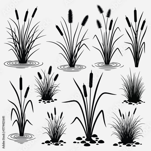 Black Cattail Silhouette Illustration Reedmace Plants, Grass Bunches