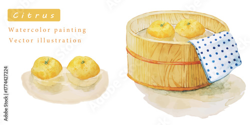 ゆずとお湯の水彩ベクターイラスト