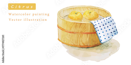 ゆずとお湯の水彩ベクターイラスト