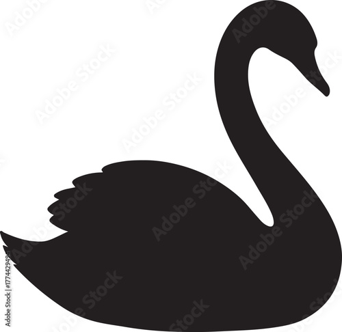 Silhouette swan transparent