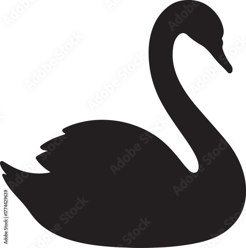 Silhouette swan transparent